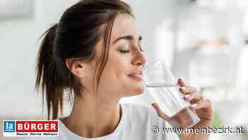 Bürger GmbH: Moderne Installationssysteme für sauberes Trinkwasser - Neunkirchen - meinbezirk.at