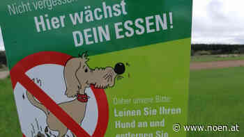 Wirbel um Hinweistafel - Neunkirchen: Hunde im Fadenkreuz - NÖN.at