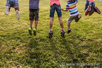 Soliera, indetti bandi per la selezione di progetti culturali e campi gioco estivi - SulPanaro | News - SulPanaro