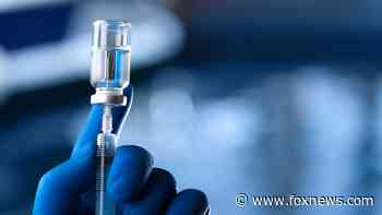 Pfizer, Moderna COVID-19 vaccines likely effective against Indian coronavirus variant, researchers suggest - Fox News