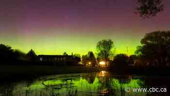 Look up: the northern lights might be out tonight