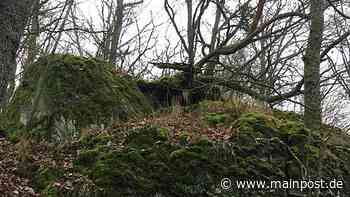 Bischofsheim Bischofsheim: Ein Waldstück mit Namen "Türmchen" - Main-Post