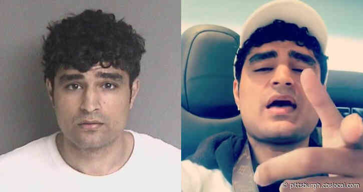 ‘I Am Gold-Collar’: Driverless Tesla Backseat Rider Basks In Social Media Notoriety As He Flaunts His Wealth