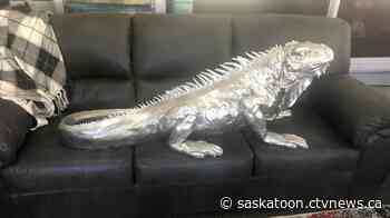 Sask. furniture store offers $1,000 stolen metal iguana's return