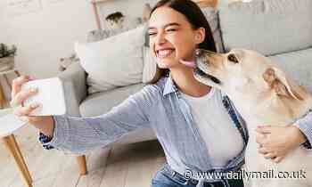 Experts develop harmless bacteria strain that eliminates dogs' bad breath 