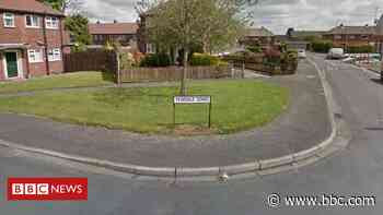 Bolton dog attack: Man, 50, suffers life-changing injuries - BBC News