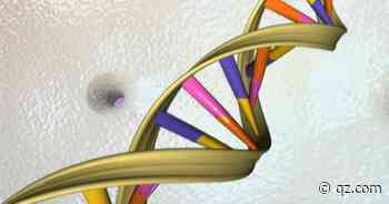 The gold rush in genetic medicine: Coronavirus update, May 2021 — Need to Know: Coronavirus — Quartz - Quartz