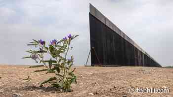 Army Corps of Engineers resume border wall levee work on Rio Grande