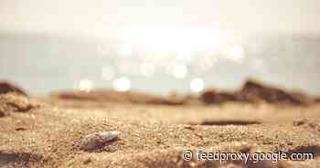 Watch an innovative robotic gripper snatch a single grain of sand     - CNET