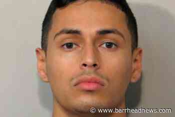 Man arrested after tiger seen wandering around Texas neighbourhood - Barrhead News