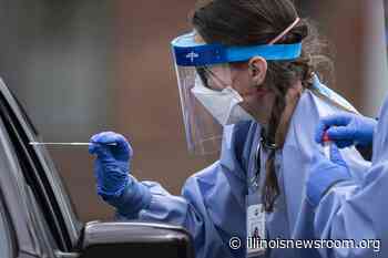 Rare Coronavirus Mutation Can Complicate COVID-19 Testing, St. Louis Researchers Report - Illinois Newsroom