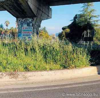 Erba alta, la fedelissima dell’ex sindaco Mauro Carturan denuncia il Comune - latinaoggi.eu