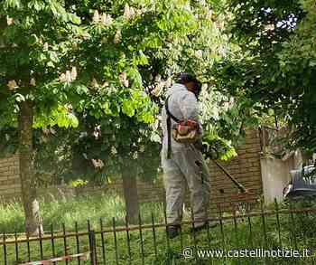 Genzano - In corso il tanto sospirato taglio dell'erba - Castelli Notizie