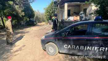 Spaccio di erba e furto di energia elettrica: un arresto - CataniaToday