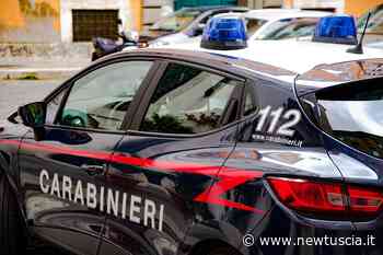 Vende online trattore taglia erba e non lo consegna, denunciato dai carabinieri | - NewTuscia