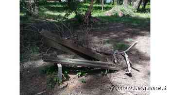 Tra l’erba troppo alta e le panchine a pezzi - LA NAZIONE