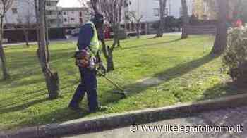 Livorno e Quercianella, look di primavera: al via il taglio dell'erba - IL TELEGRAFO Livorno
