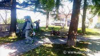 Atri, i privati dovranno procedere a sfalcio, potature e taglio d'erba nei terreni di loro competenza - ekuonews.it