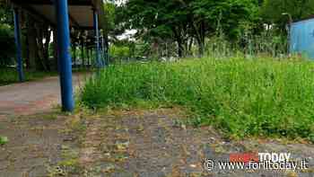 "Erba altissima all'asilo "Scoiattolo"" - ForlìToday