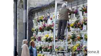 "Minaccia degrado al cimitero" La denuncia: erba sempre alta - LA NAZIONE