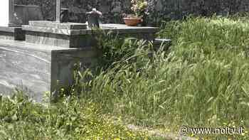 Erba alta e incuria al cimitero di Pieve San Paolo - NoiTV - La vostra televisione