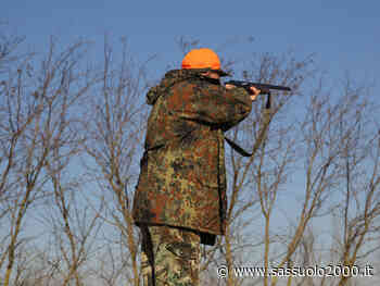 Tesserini per la caccia: a Modena cambia l'ufficio per il rilascio del documento - sassuolo2000.it - SASSUOLO NOTIZIE - SASSUOLO 2000