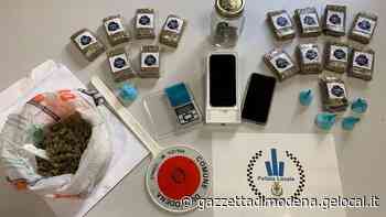 Modena, droga sul furgone e a casa, arrestato con l'aiuto di Pit - La Gazzetta di Modena