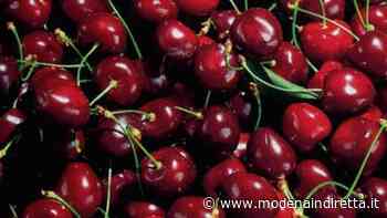 Di nuovo maltempo, frutta decimata a Modena e Bologna - modenaindiretta.it