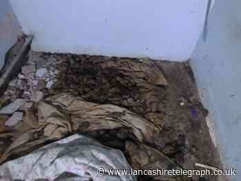 Woman banned from keeping animals for life after leaving dog to die in cupboard under stairs