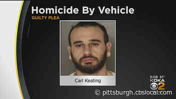 Man Pleads Guilty To Homicide By Vehicle In Crash That Killed Passenger