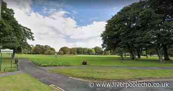Gang armed with bats jump boy, 13, in St Helens park - Liverpool Echo