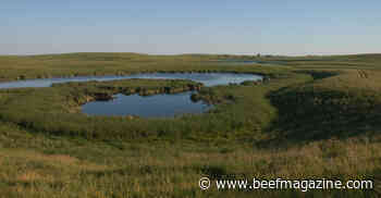 Conditions set stage for poor water quality