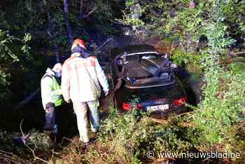 Auto rijdt door vangrail A12 en belandt meters lager in de struiken