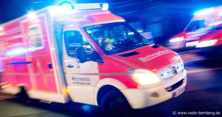 Handwerker stürzt von Schloss-Dach und wird schwer verletzt