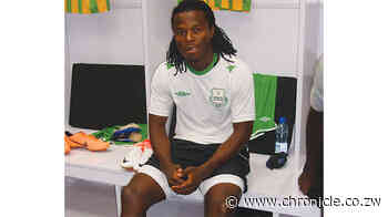 Zambia coaching job excites Moyo - Chronicle