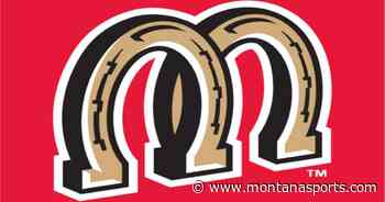 Former Billings Mustangs players to join coaching staff - MontanaSports