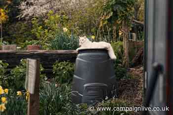 Guinness 'return to the pub' campaign argues good things come in black and white