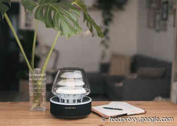 Relax with the HaloFalls mood light