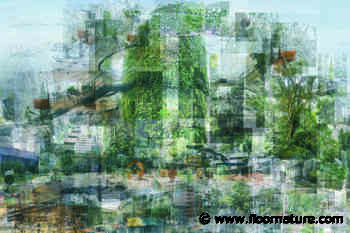 PLATFORM AUSTRIA Austria at the 2021 Architecture Biennale | Livegreenblog - Floornature.com