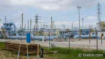 Biden waives US shipping law to mitigate fuel shortages