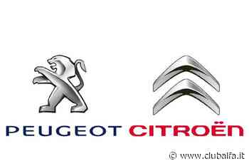Peugeot e Citroën in Sud America cambiano i vertici - ClubAlfa.it - ClubAlfa.it