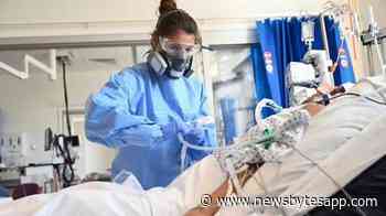 White House warns of possible fast-spreading 'USA strain' of coronavirus | NewsBytes - NewsBytes