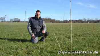 An der Wörpe in Lilienthal wächst ein neuer Wald - WESER-KURIER