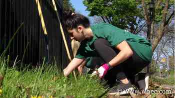 United Way of Greater Rochester celebrates Day of Caring