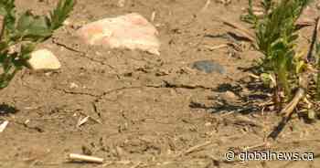 Soil conditions worsen across Saskatchewan as spring seeding continues