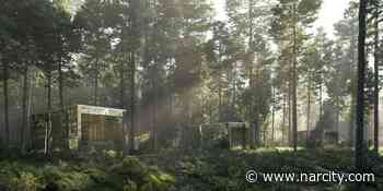 Arcana Cabins Rentals Near Toronto Let You Wake Up In A Forest - Narcity Canada