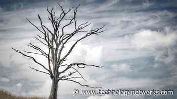 Ghost Forest “Tree Farts” Contribute to Greenhouse Gas Emissions - Technology Networks