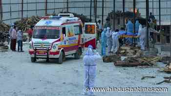 Forest dept ups vigil as demand for wood spikes in crematoriums - Hindustan Times