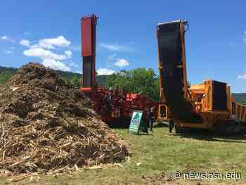 Forest-products professionals and vendors to gather, safely, for Timber 2021 | Penn State University - Penn State News