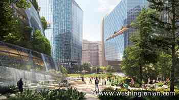Amazon's HQ2 Will Have a "Forest Plaza" - Washingtonian